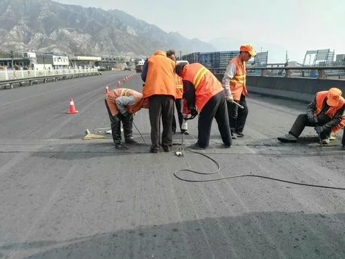 卫滨道路桥梁病害治理